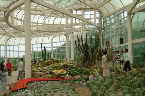 廈門(mén)園林植物園